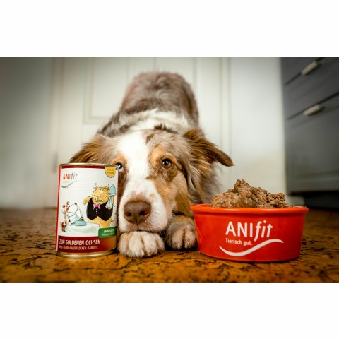 Hund Hundefutter Nassfutter Zum Goldenen Ochsen 200g 6 Stück -5- Anifit