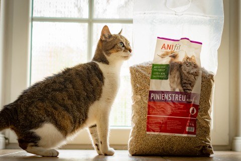 Katze Zubehör Pinienstreu 40 kg 1 Stück -2- Anifit